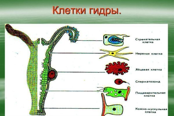 Как восстановить аккаунт в кракен